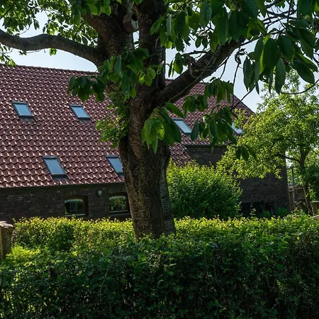 Krause By Interhome Appartement *
